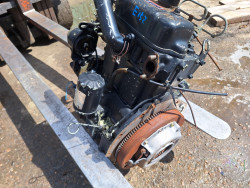 Hinomoto  S100