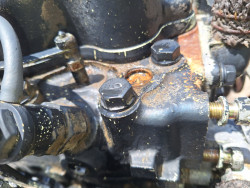 Hinomoto  S100