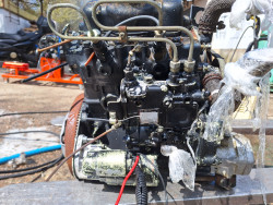 Hinomoto  S100